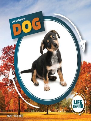 cover image of Life Cycle of a Dog
